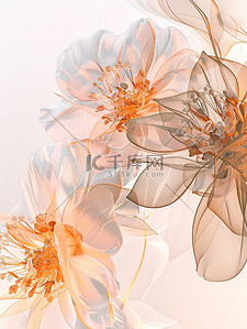 半透明选项框插画图片_磨砂玻璃透明橙色花朵插画设计
