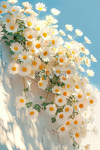 白色米白色插画图片_小雏菊长在白色的墙素材