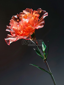 几何曲线玻璃贴插画图片_发光玻璃康乃馨母亲节花朵插画图片