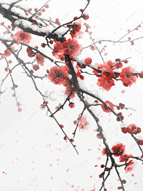 冬天雪季里的梅花枝
