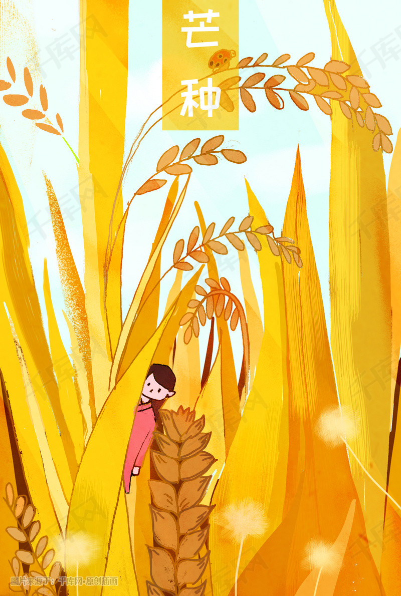 节气芒种小清新背景图