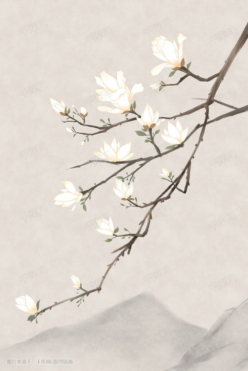 古风花绘之玉兰花