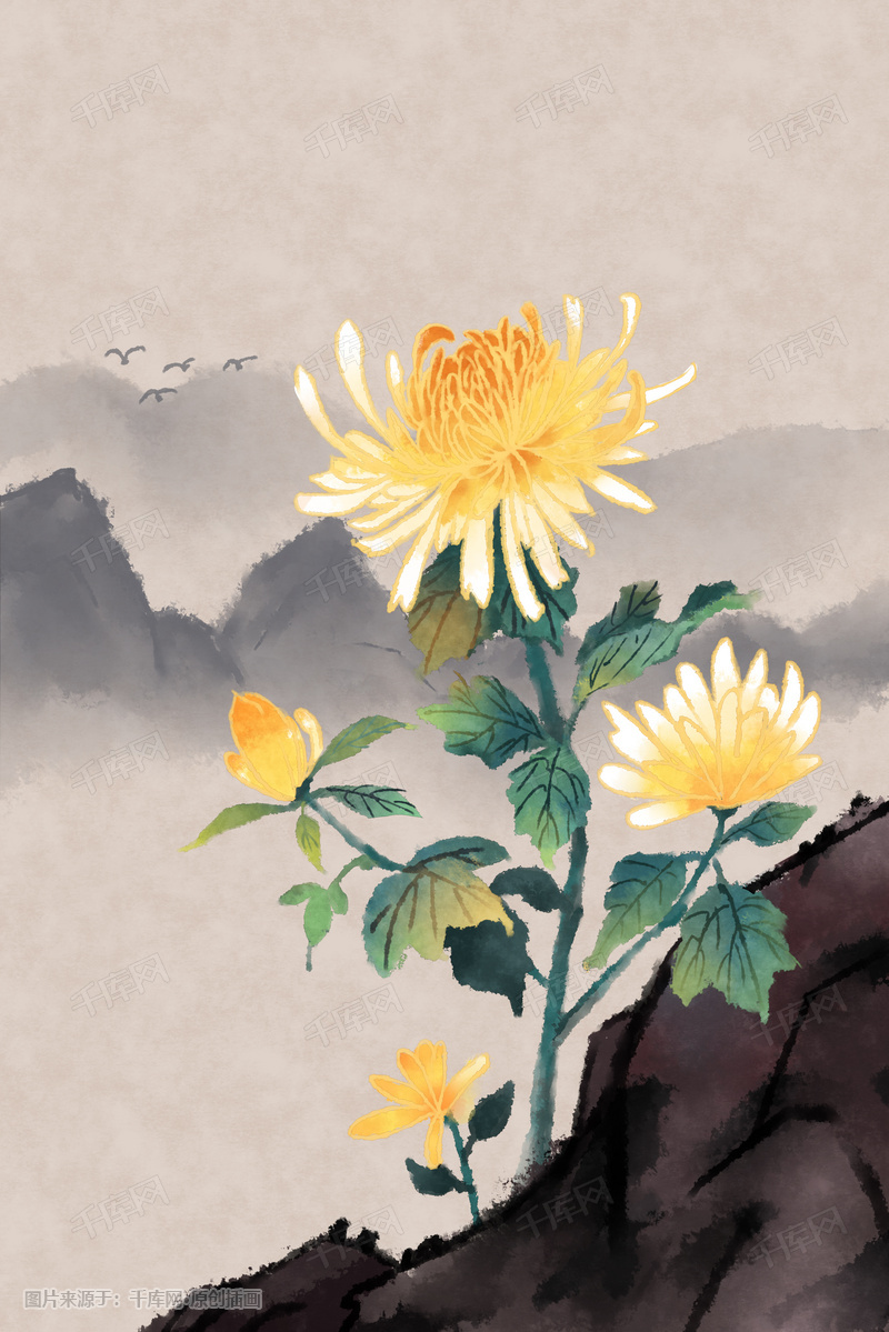 水墨菊花古风花绘