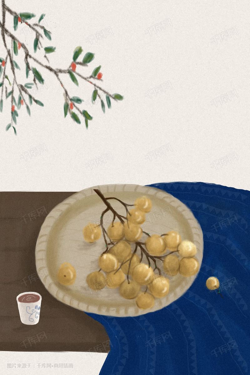 二十四节气之白露龙眼手绘插画