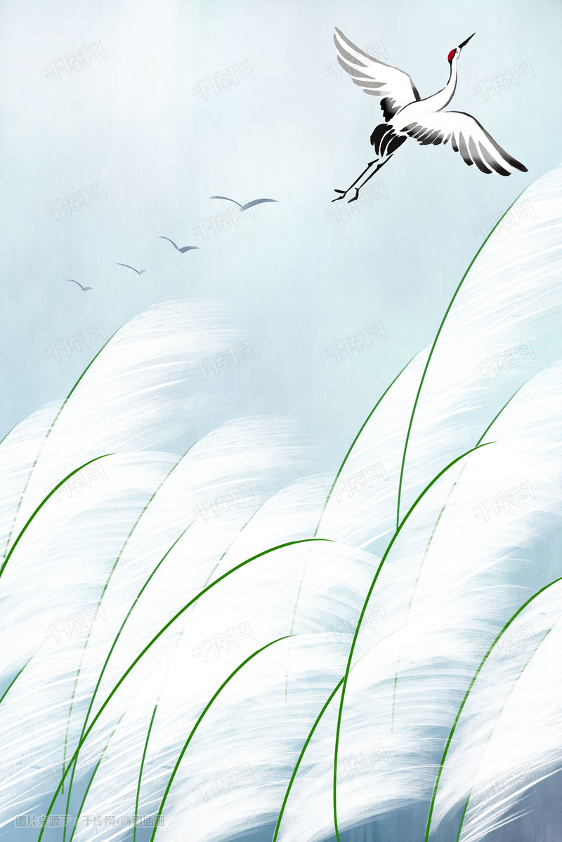 白露插画手绘节气芦苇
