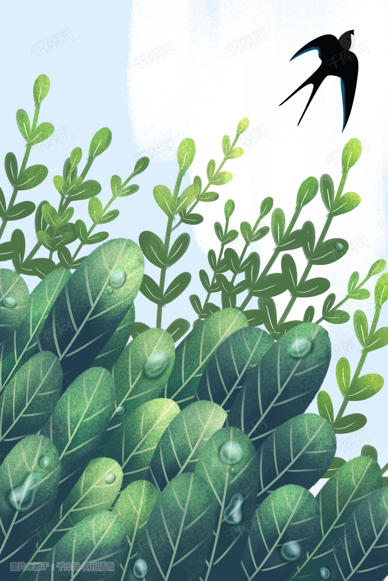 白露插画手绘植物
