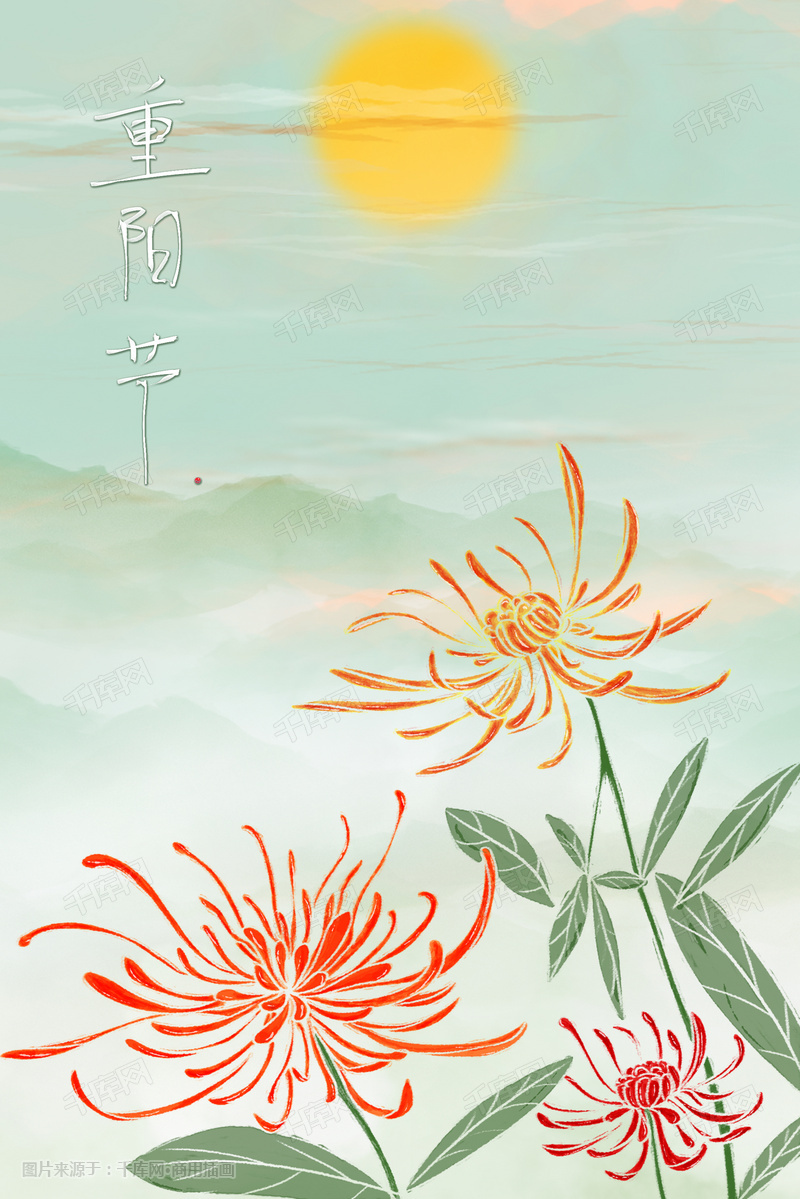 重阳节的菊花插画