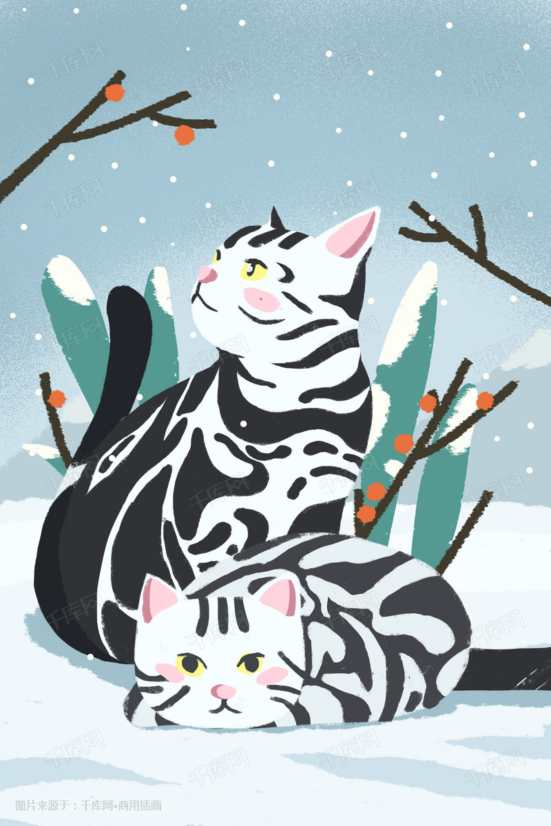 萌宠插画之美国短毛猫