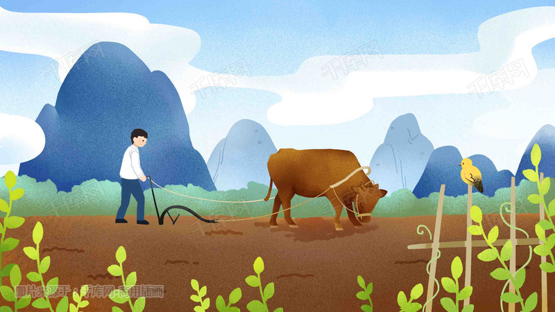 春天耕地种地农民春季老牛耕地插画