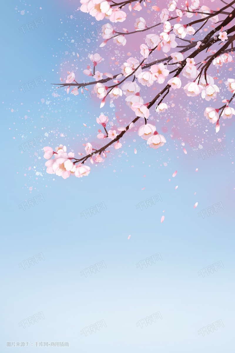 唯美樱花春日赏花