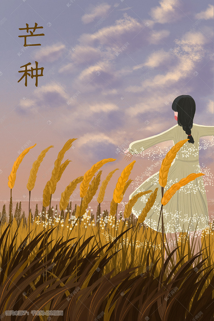 芒种傍晚黄色的麦田与女孩配图