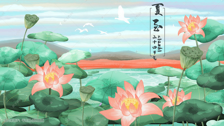二十四节气夏至荷花池插画图片-千库网