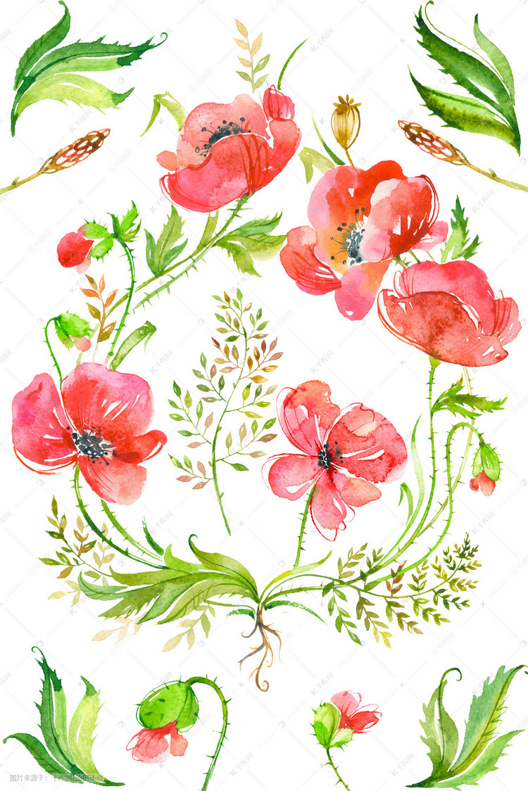 水彩花卉植物背景插画