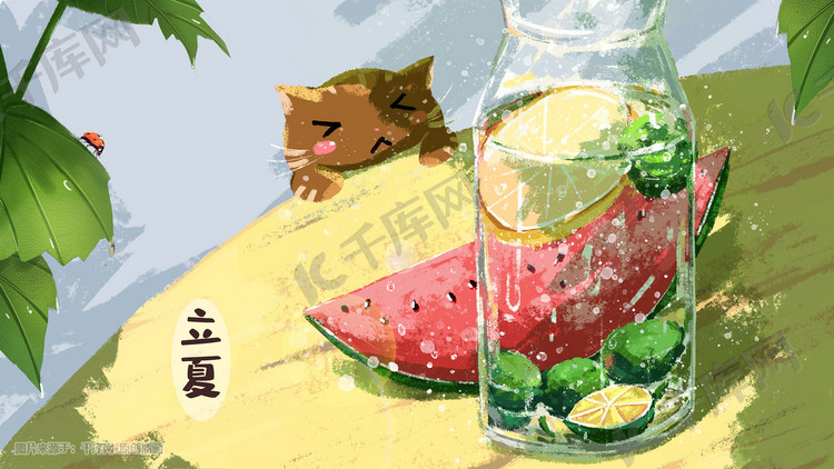 立夏-猫与西瓜柠檬水