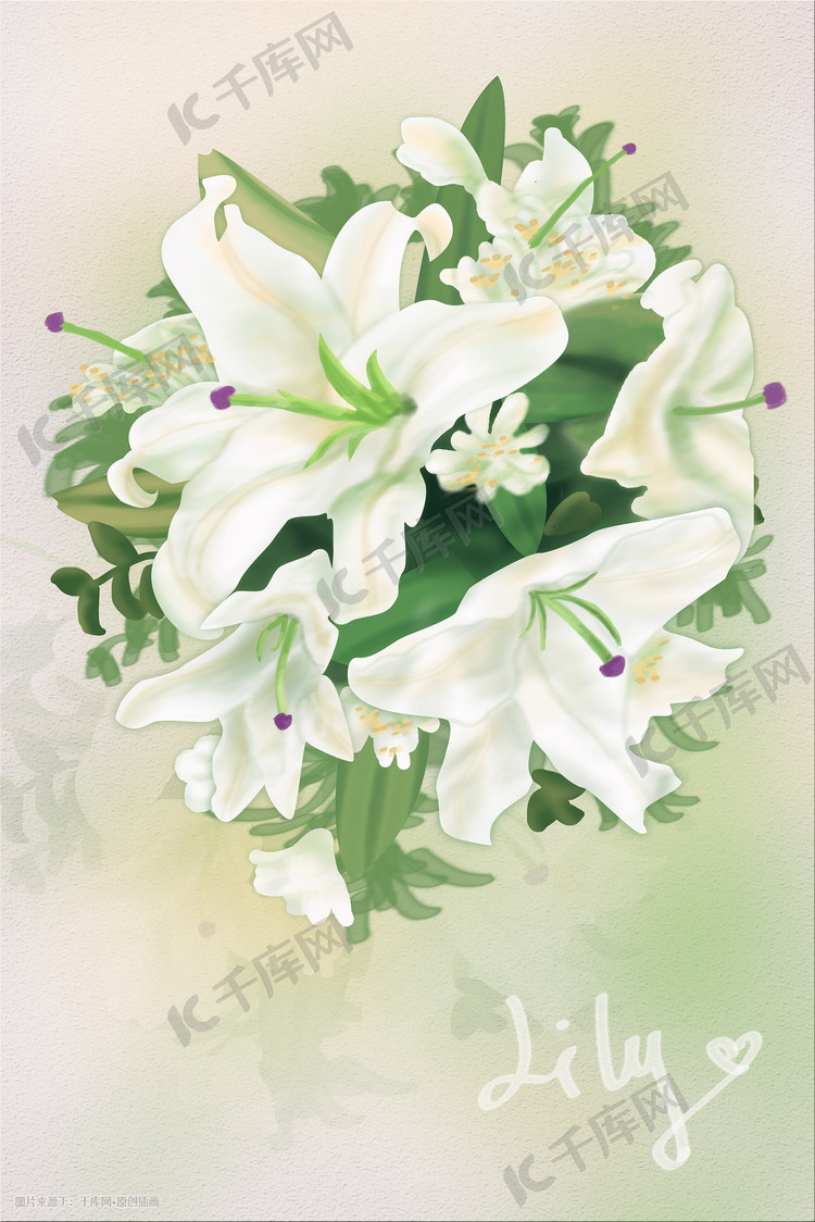 花卉植物百合花七夕节情人节花束手绘插画