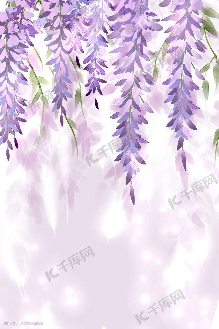 治愈唯美花卉紫藤背景清新植物七月你好叶子