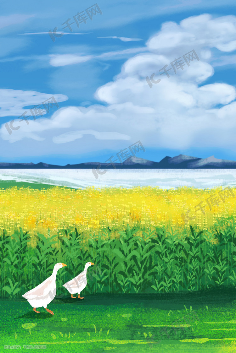 立春春天春景春植物油菜花插画图片-千库网