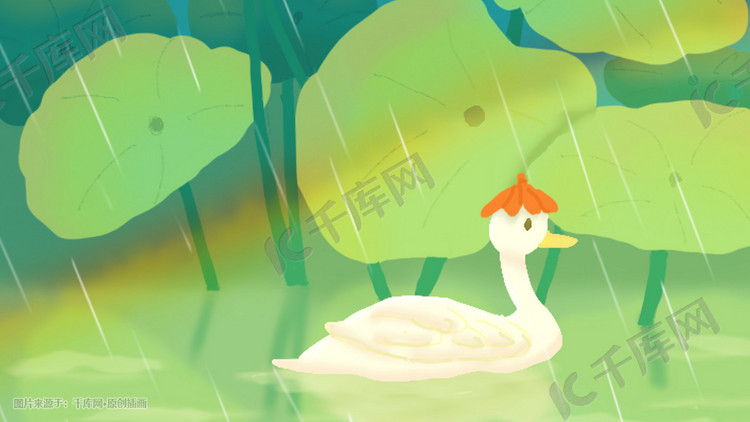 春天绿色荷叶鸭子在雨水中游泳
