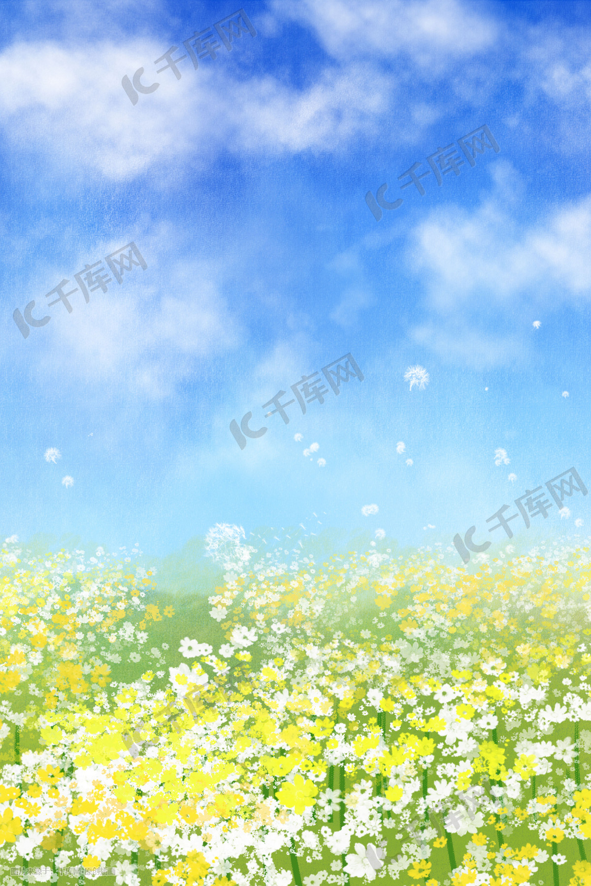 小清新夏天花海唯美治愈蓝天白云景色
