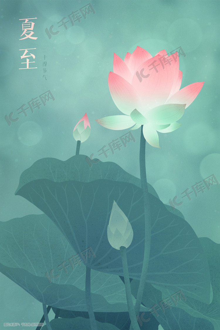 夏至二十四节气夏天荷叶荷花插画图片-千库网