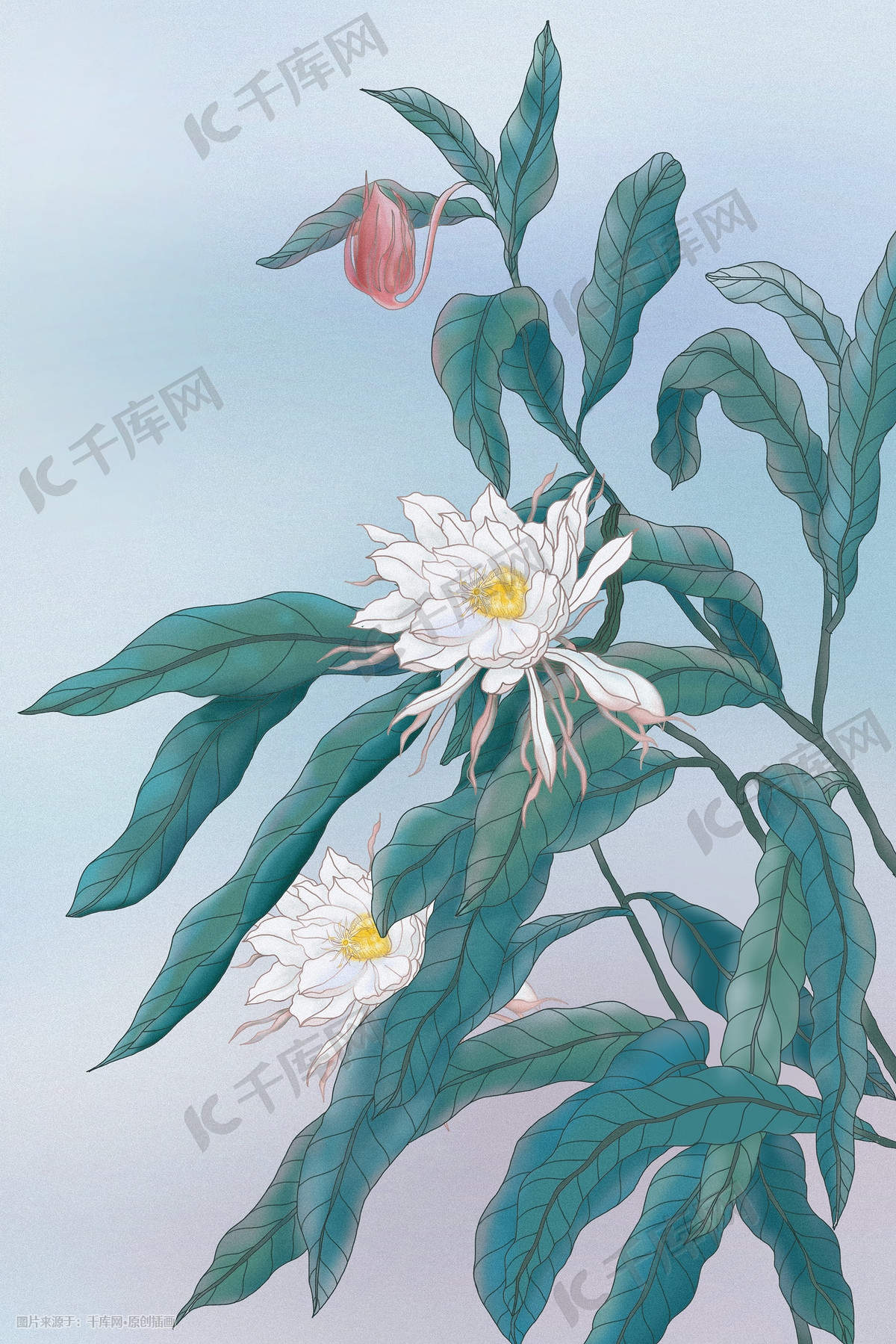 古风昙花植物手绘唯美小清新国风复古插画图片-千库网