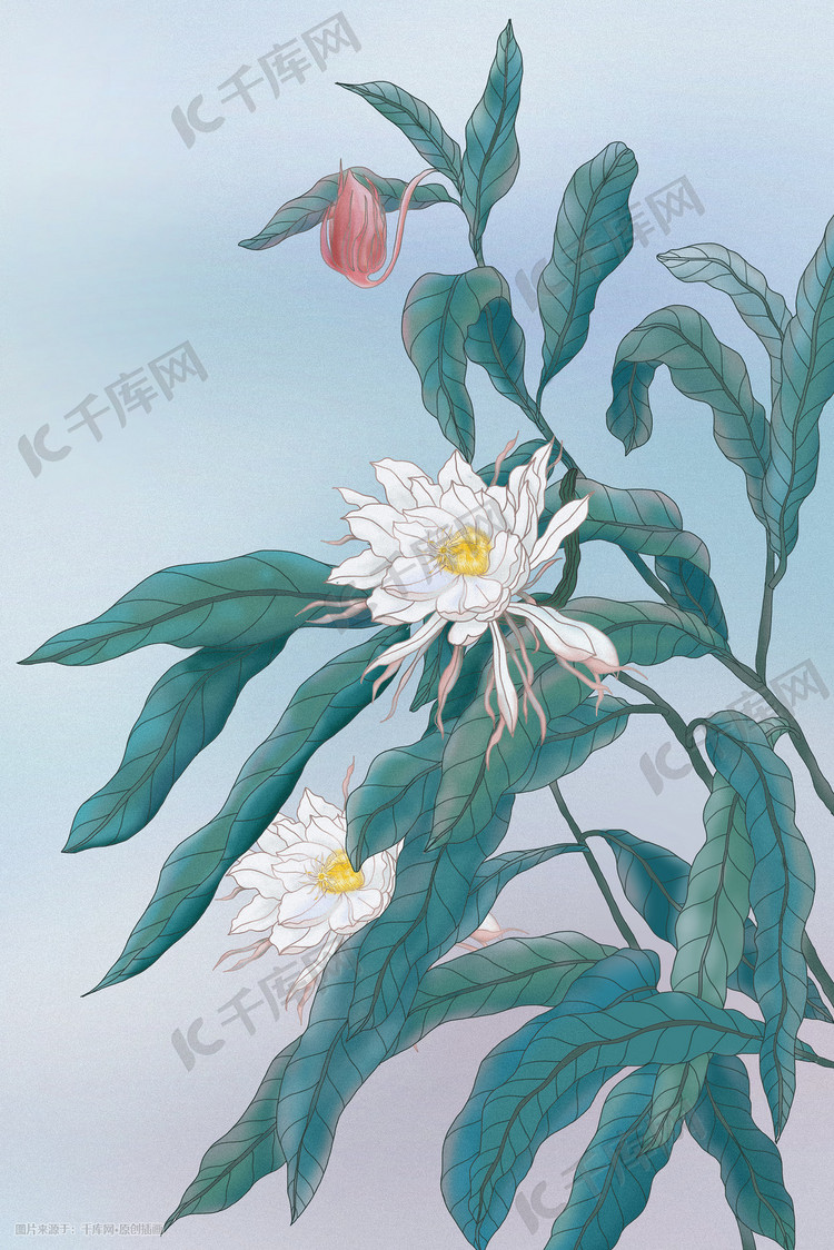古风昙花植物手绘唯美小清新国风复古插画图片-千库网