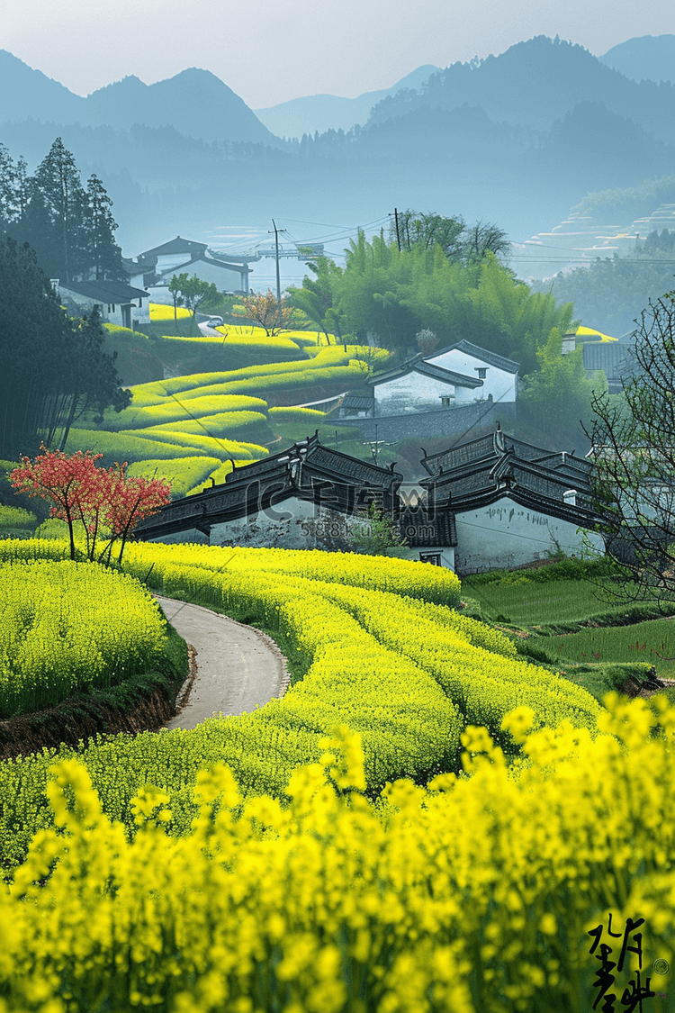 春天田园油菜花乡间植物手绘插画