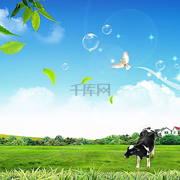 草原奶牛背景主图背景图片免费下载_主图\/直通
