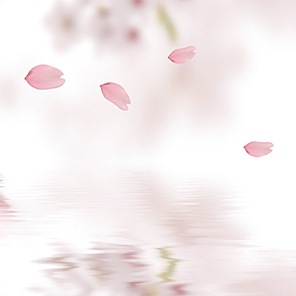 温馨粉色花瓣背景图