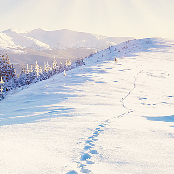 雪景主图背景图片免费下载_海报banner/psd_千库网