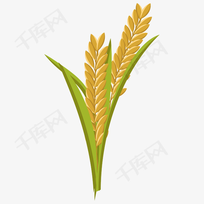 卡通矢量金黄麦穗卡通矢量金黄麦穗小麦麦子收货