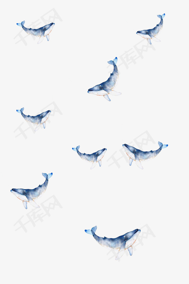 手绘生动鲸鱼漂浮素材
