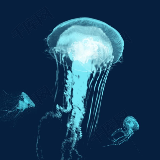 蓝色浮游生物水母章鱼元素海底水母浮游浮游生物水母乌贼章鱼