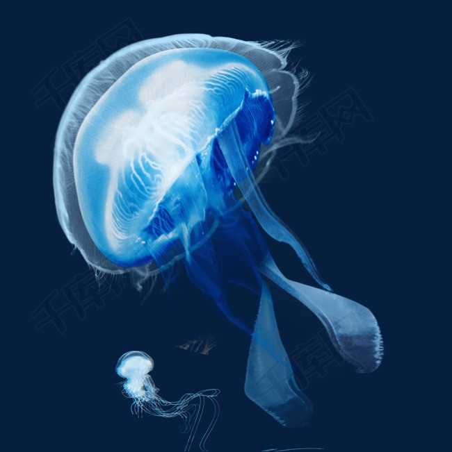 蓝色透明生物水母元素