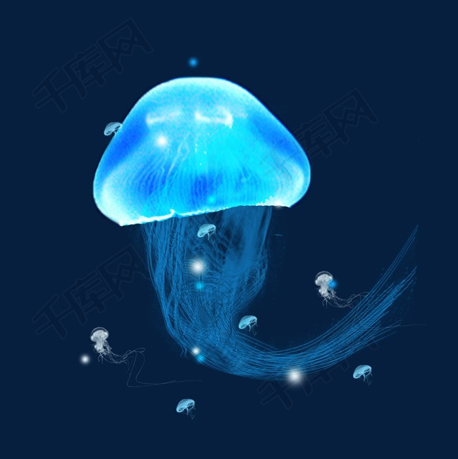 蓝色透明生物章鱼水母元素白色水母海底水母浮游浮游生物水母乌贼
