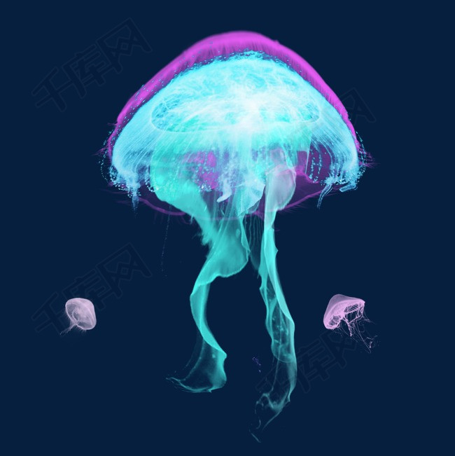 透明生物章鱼水母元素紫色水母海底水母浮游浮游生物水母乌贼