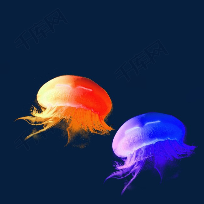 彩色水母海底水母八爪鱼元素