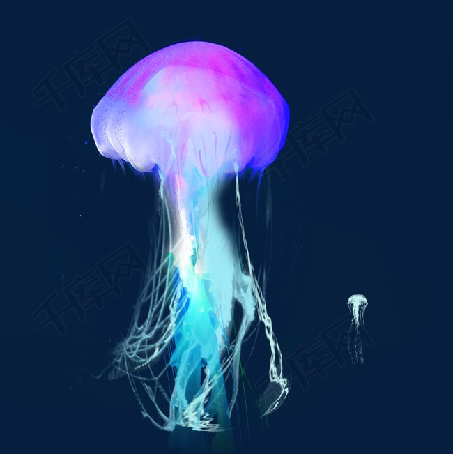 蓝色紫色海洋水母元素海底水母浮游浮游生物水母乌贼章鱼