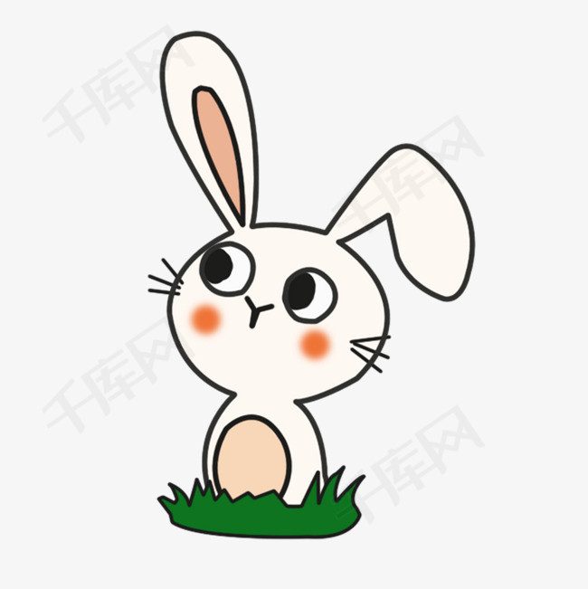 小动物十二生肖小兔子卡通兔