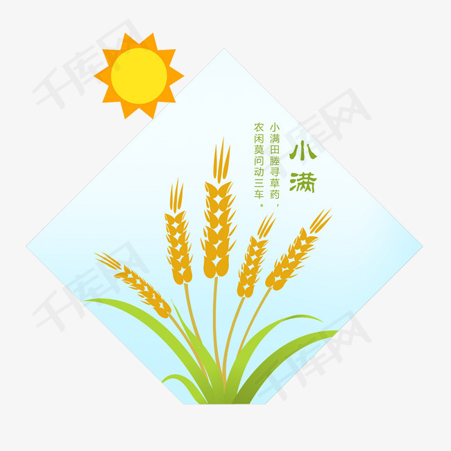 小满节气卡通手绘小麦