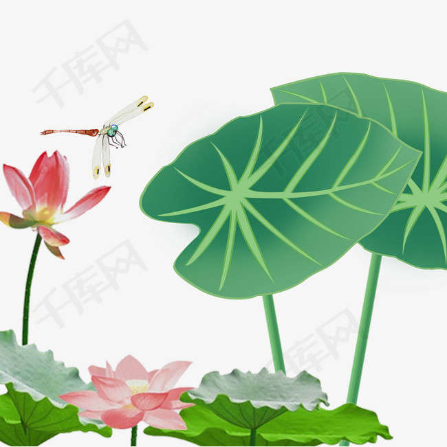 手绘夏日的荷叶和蜻蜓免抠图