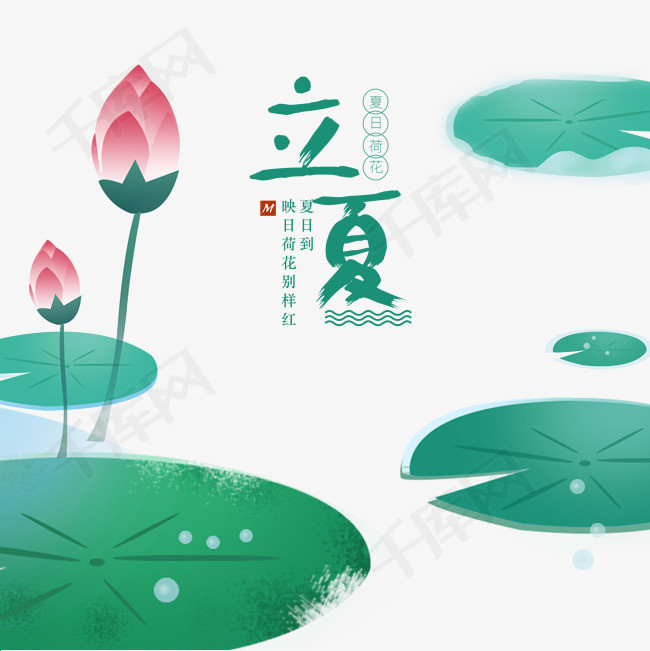 节气立夏荷花夏至png