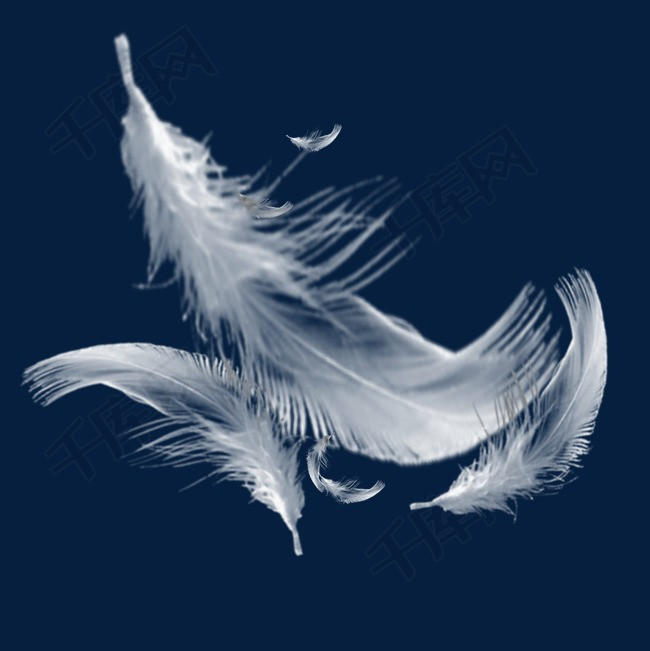 唯美白色羽毛元素羽毛漂浮白色羽毛唯美羽毛漂浮白色清新