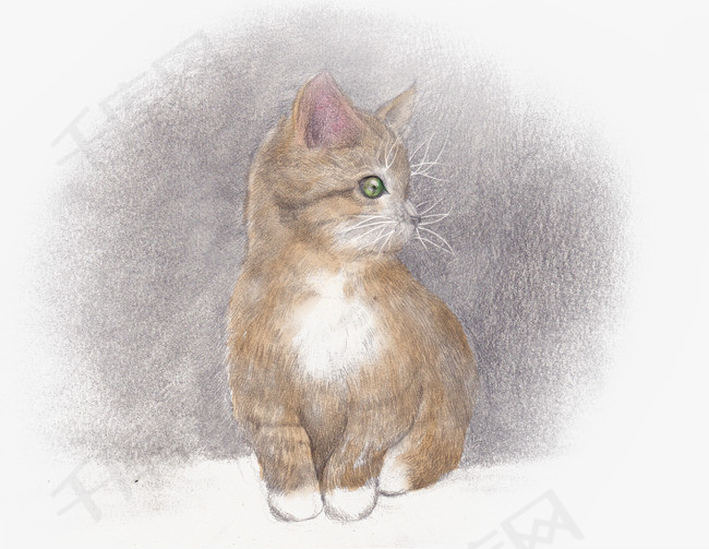 手绘素描小猫咪png素材
