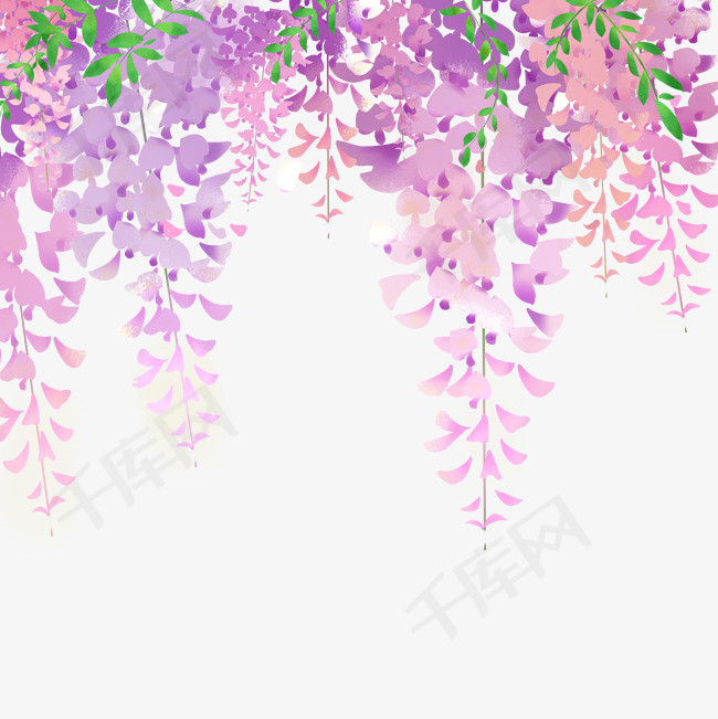 手绘紫藤萝顶部花边