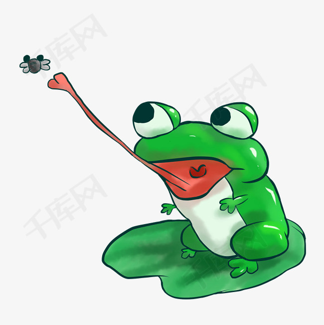 青蛙成长吃昆虫插画