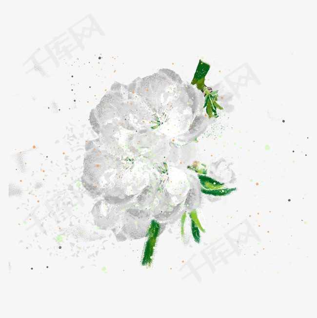 白色荼蘼花手绘花卉