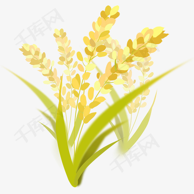 秋分主题水稻卡通插画秋分主题水稻卡通插画农活庄家卡通手绘水稻插秧