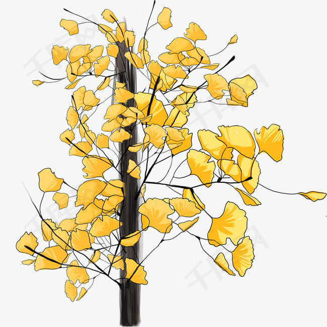 秋季植物银杏树手绘插画