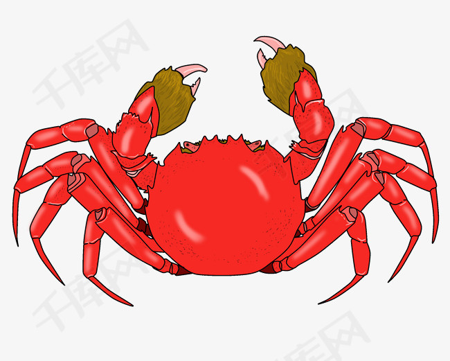 手绘螃蟹卡通插画